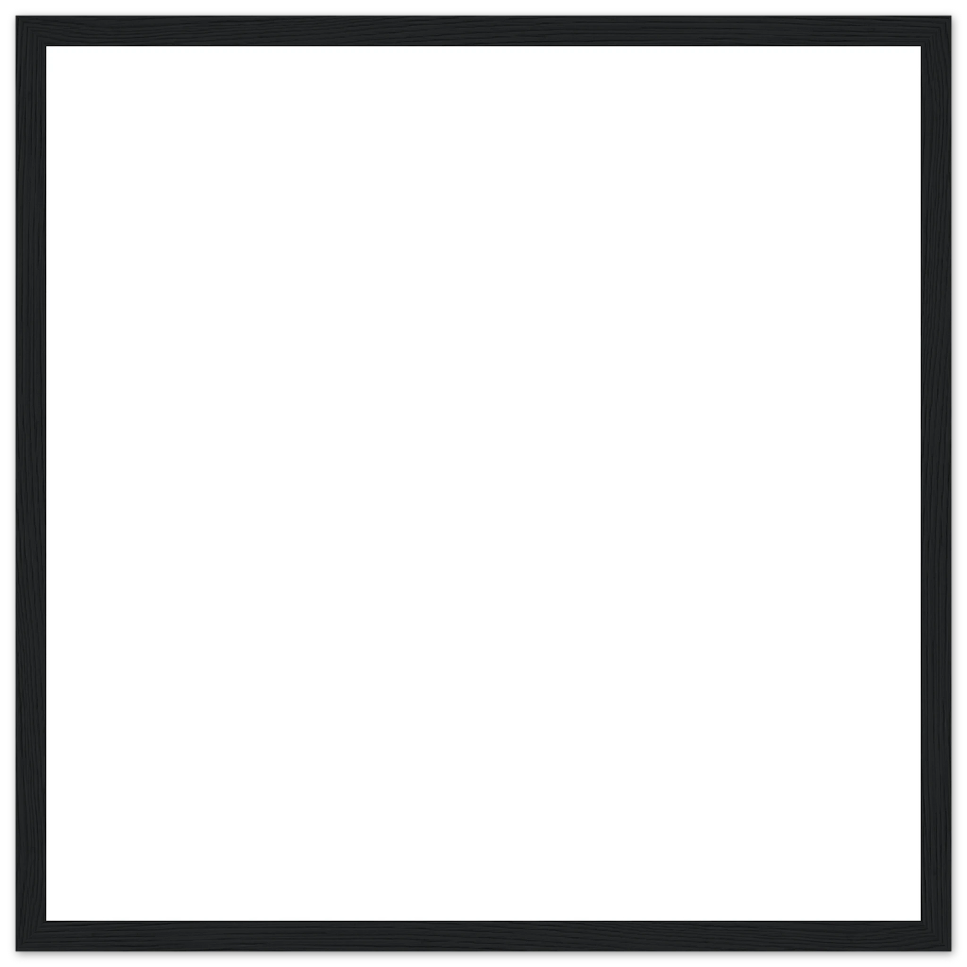 ee8b5535-c354-4a02-a1a9-535cc3951350